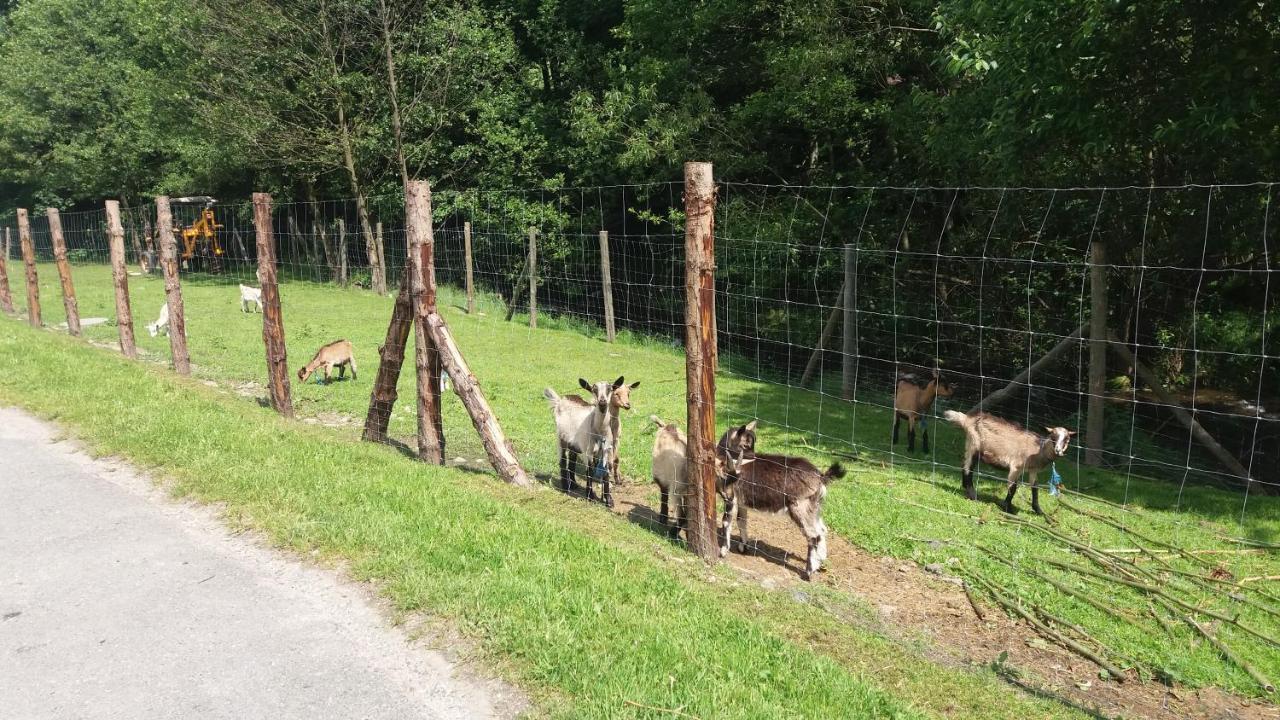 Agroturystyka,, Ranczo Kruszynki" Stronie Śląskie Exteriör bild