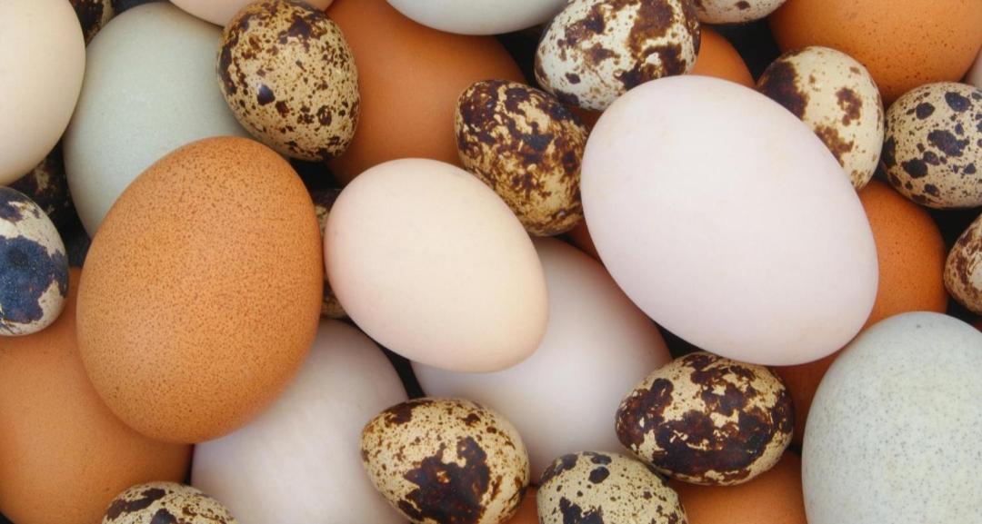 Agroturystyka,, Ranczo Kruszynki" Stronie Śląskie Exteriör bild